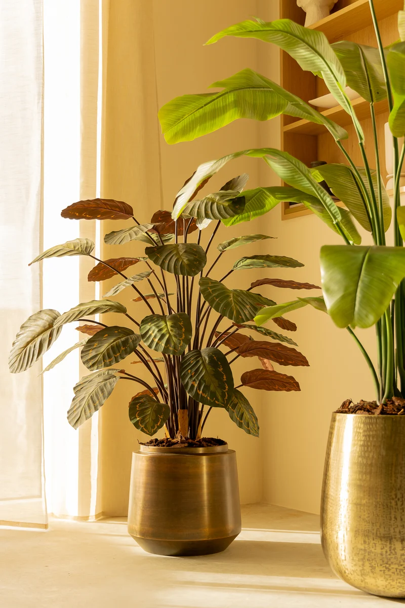 Calathea Kunstpflanze 90cm