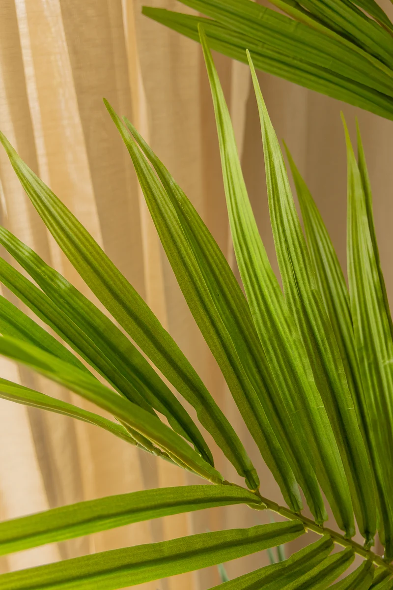Künstliche palme Kentia 180cm