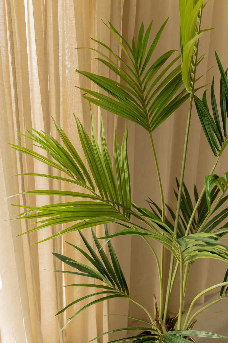 Künstliche palme Kentia 180cm