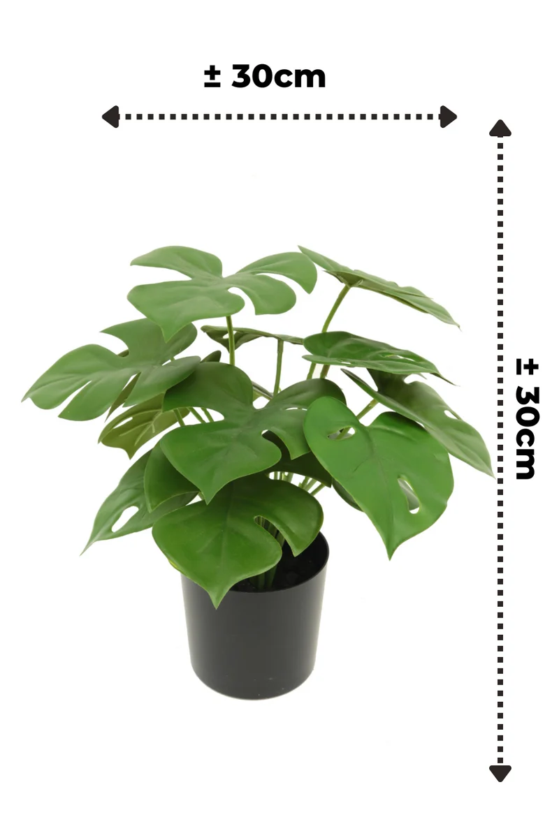 Monstera Kunstpflanze 30cm