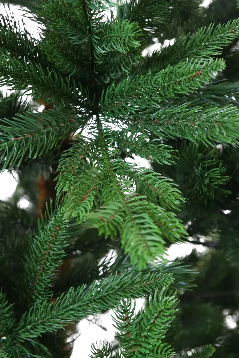 Künstlicher Weihnachtsbaum - Gabriel | 210 cm