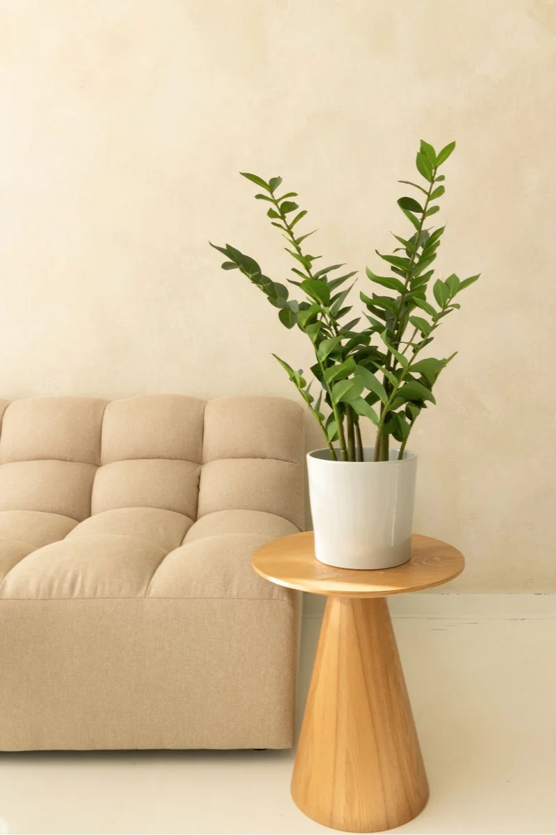 Zamiifolia Kunstpflanze 90cm