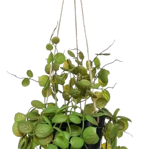 Künstliche Hänge-Leuchterblume - Konrad | 50 cm