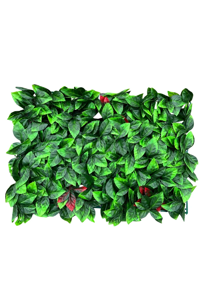 Photinia Kunsthecke Wandpanel 60x40cm