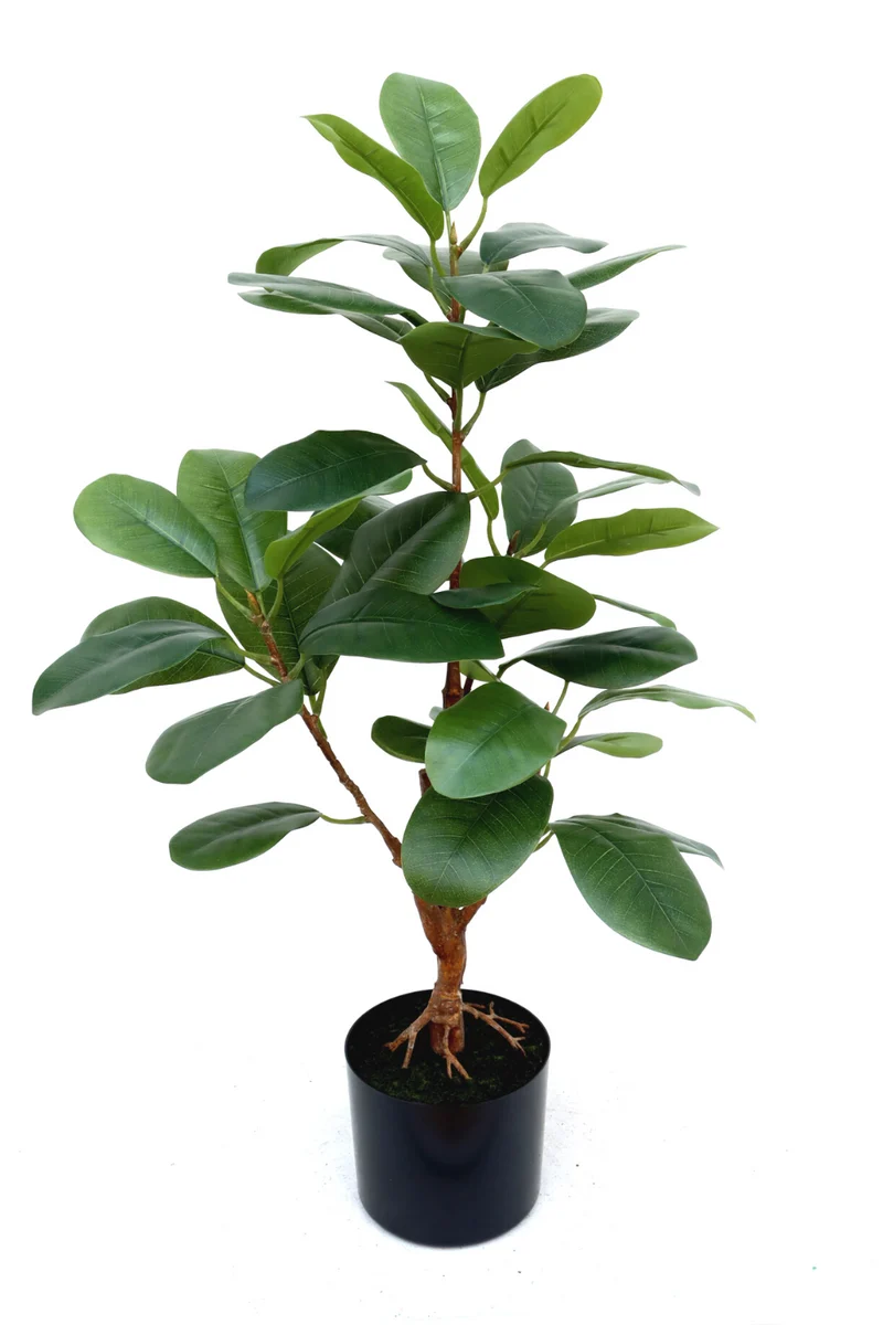 Ficus Kunstpflanze 80cm