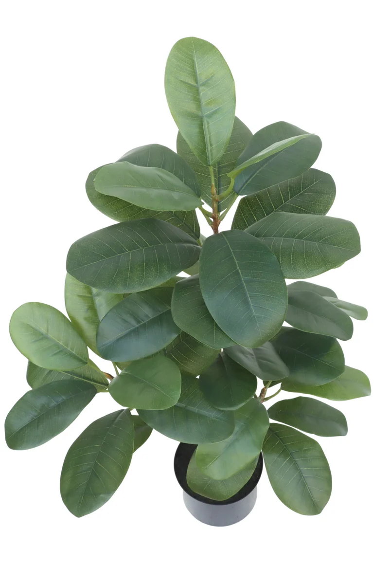 Ficus Kunstpflanze 80cm