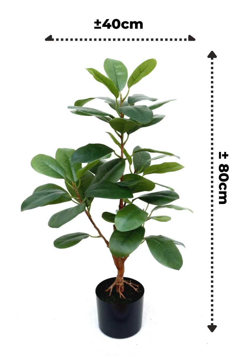 Ficus Kunstpflanze 80cm