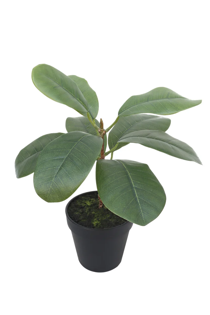 Ficus Kunstpflanze 35cm