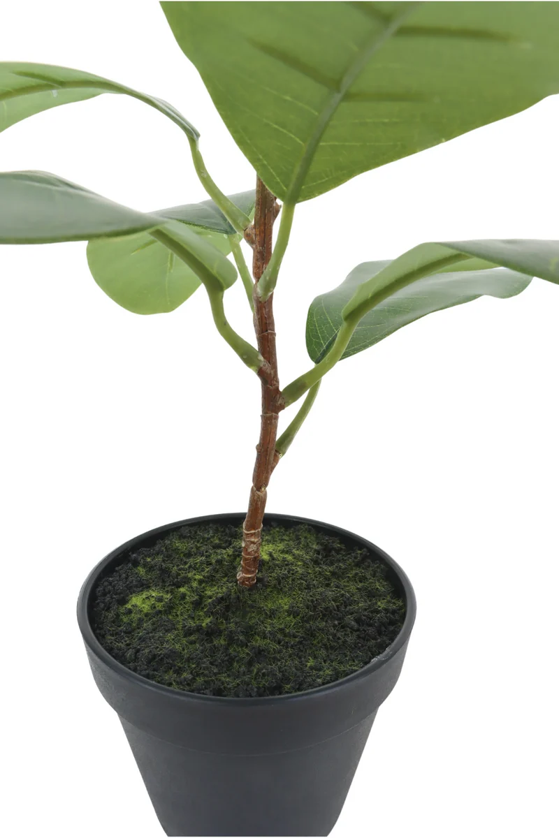Ficus Kunstpflanze 35cm