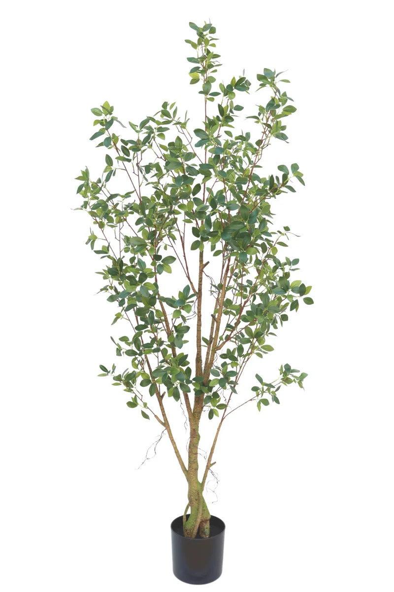 Ficus Kunstpflanze 180cm