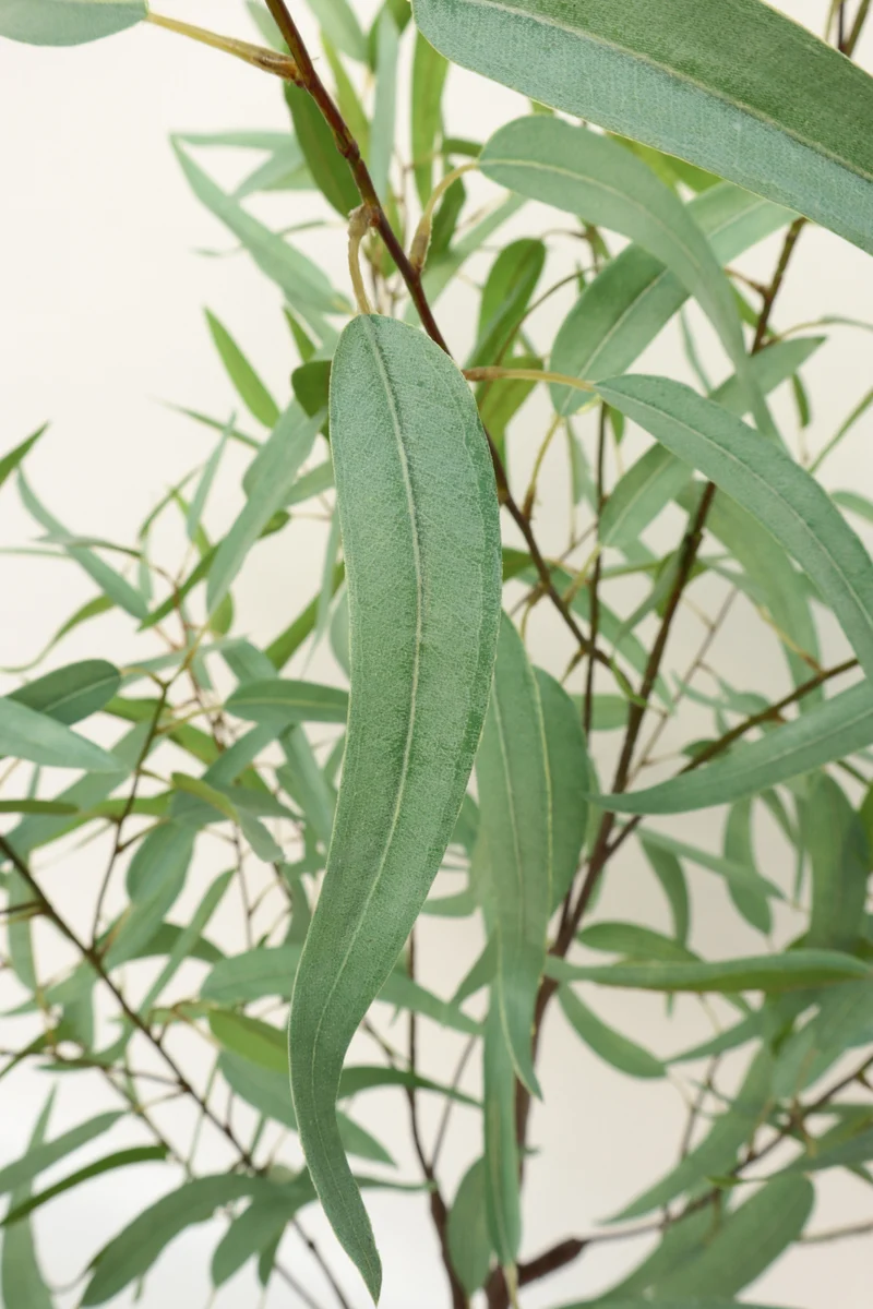 Eukalyptus Kunstpflanze 2 175cm