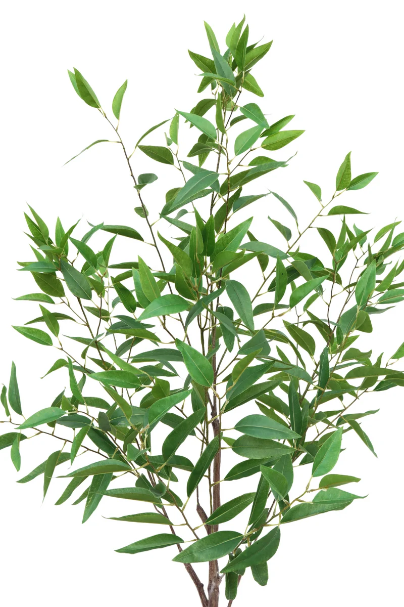 Eukalyptus Kunstpflanze 1 175cm