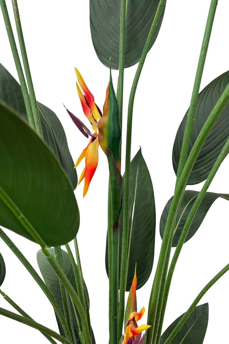 Strelitzie Kunstpflanze mit Blume 180cm