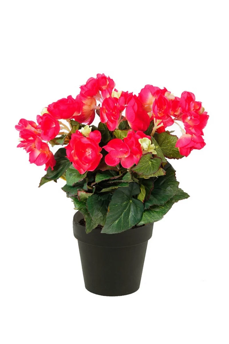 Begonia Kunstpflanze Rosa 30cm