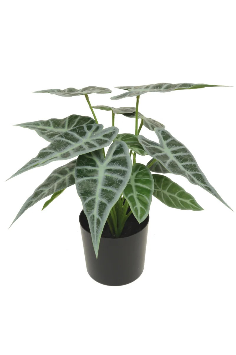 Caladium Kunstpflanze 20cm