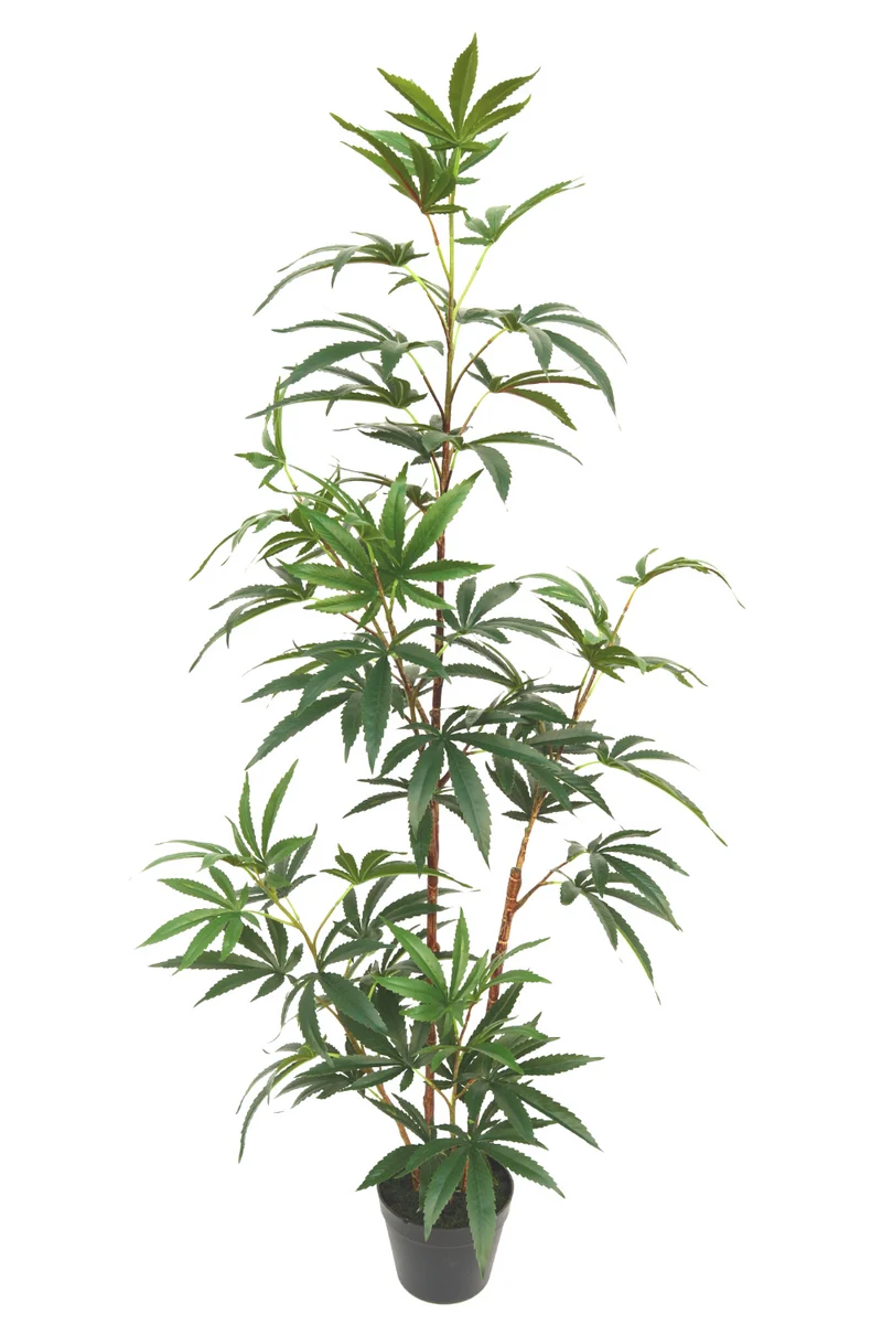 Aralia Kunstpflanze 130cm