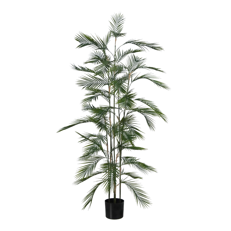 Künstliche Bergpalme - Nolte | 180 cm