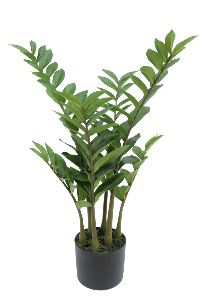 Zamioculcas Kunstpflanze 75cm