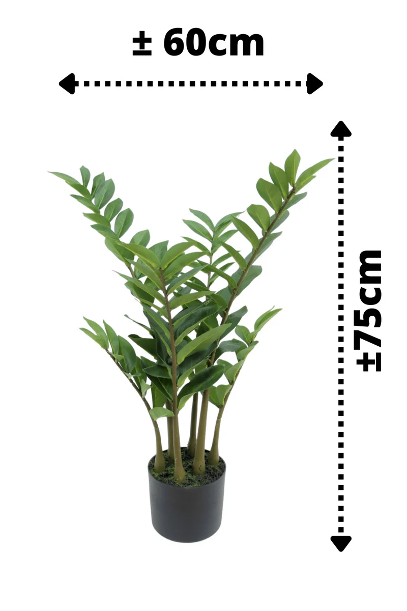 Zamioculcas Kunstpflanze 75cm