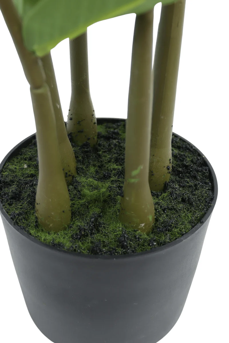 Zamioculcas Kunstpflanze 75cm