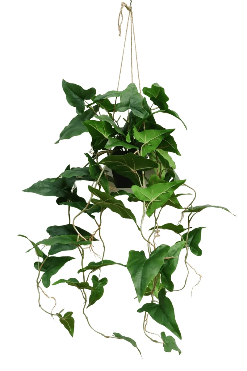 Typhonium künstliche Hängepflanze 95cm