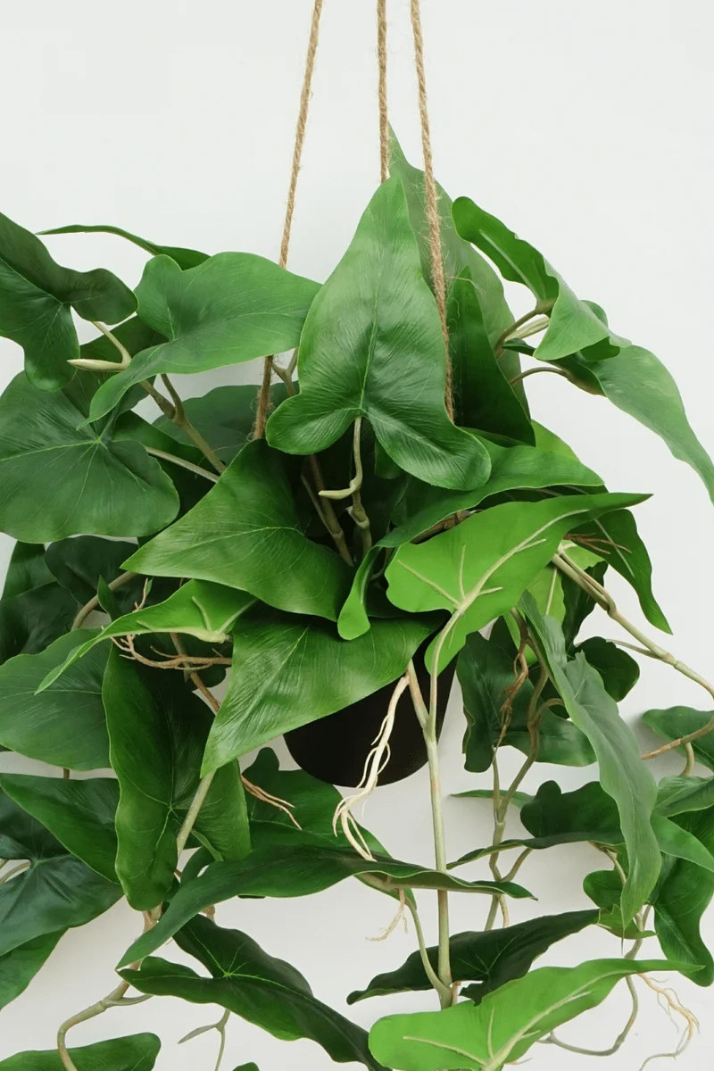 Typhonium künstliche Hängepflanze 95cm