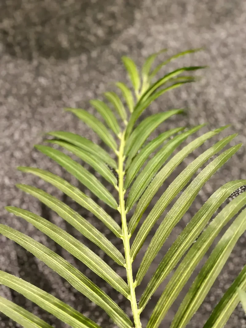 Künstliche Goldfruchtpalme - Eva | 170 cm