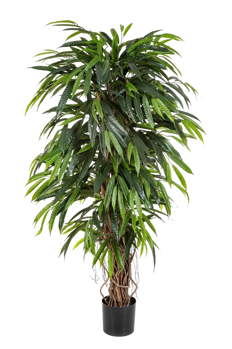 Künstliche Longifolia - Steven | 210 cm