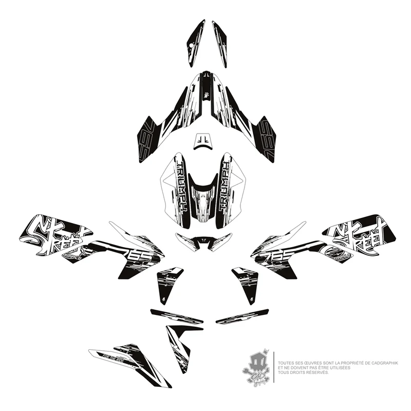 TRIUMPH KIT DÉCO - STREET TRIPLE 765 - PIXSTREET-W