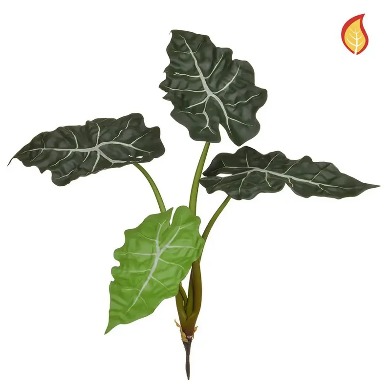 Künstliche Alocasia - Angelika | 49 cm