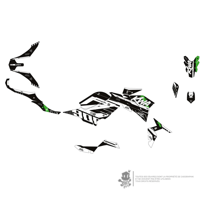 KAWASAKI KIT DÉCO MÉTALLISÉ - Z900 GREEN TECK 01 - ONLY X
