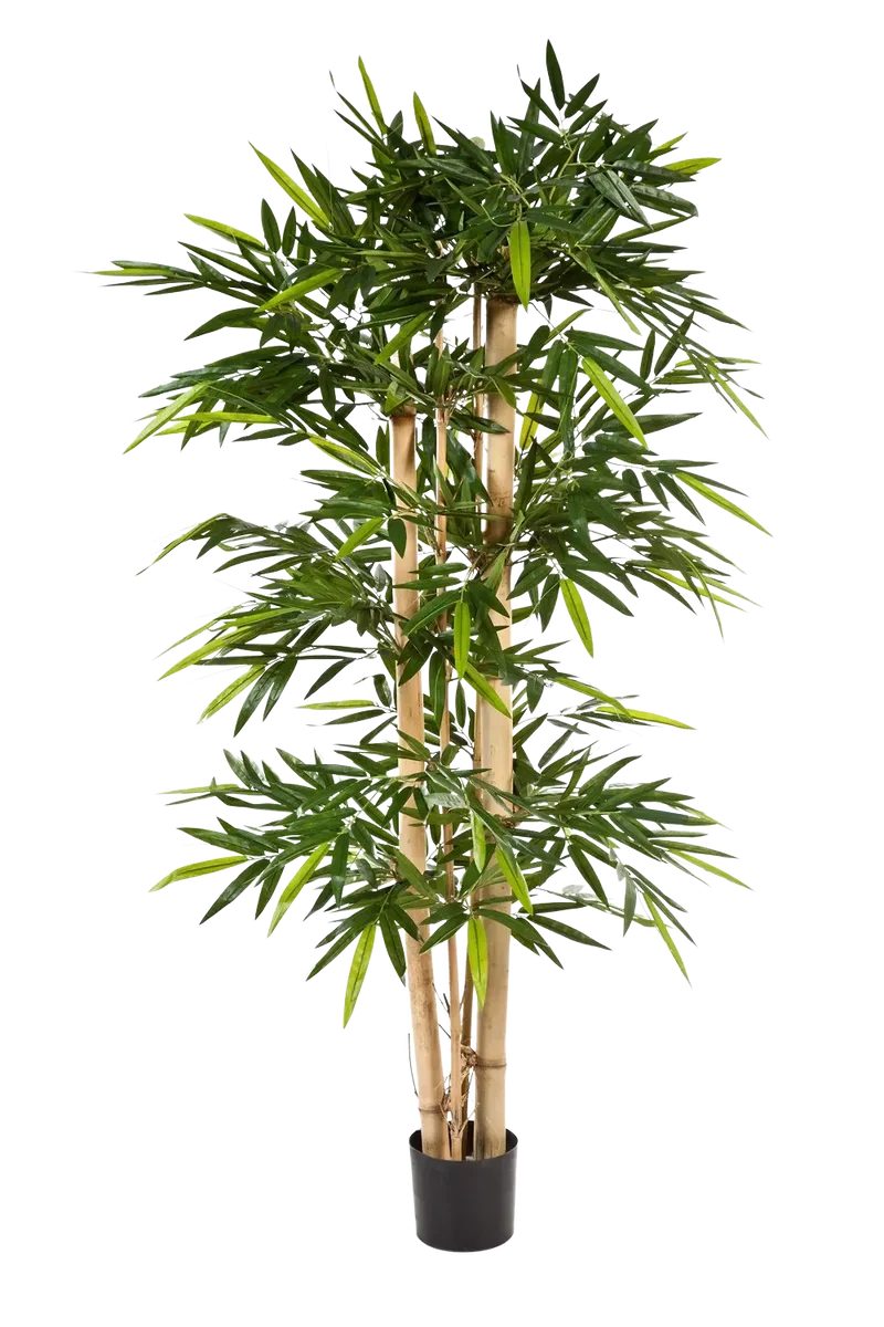 Künstlicher Bambus - Martha | 240 cm