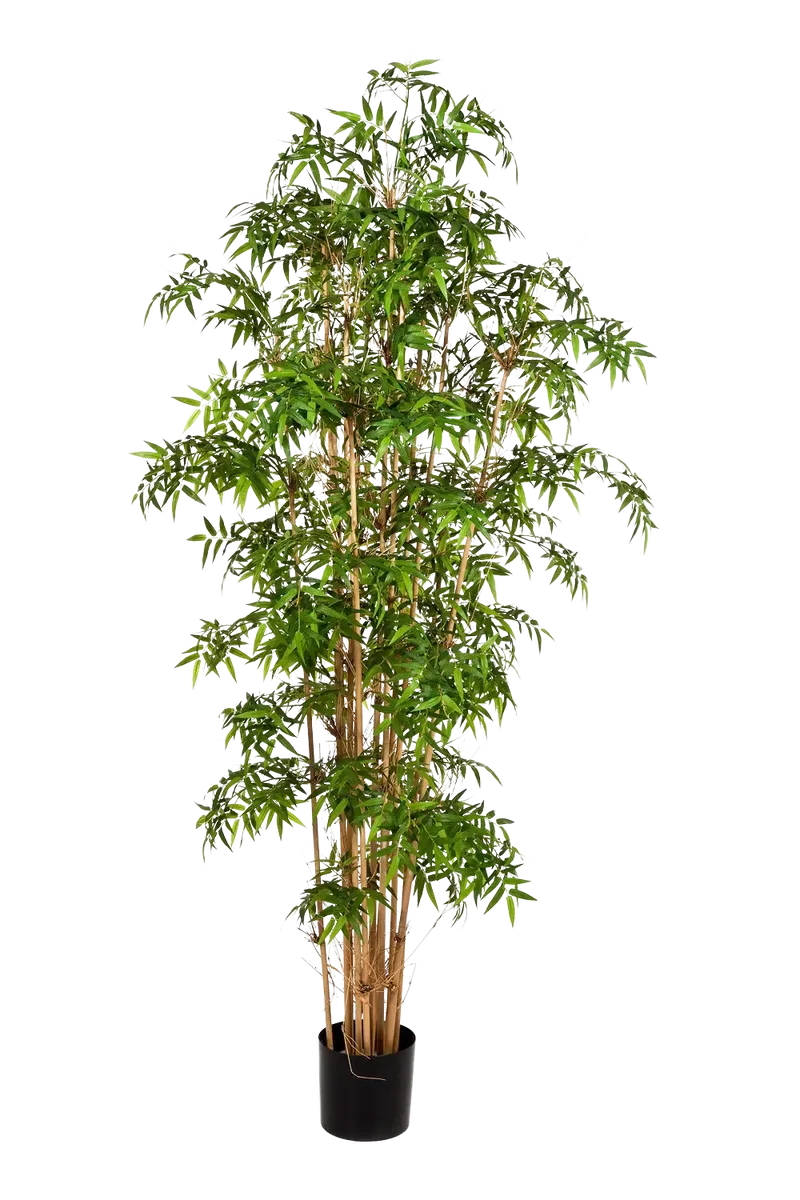 Künstlicher Bambus - Lucia | 230 cm