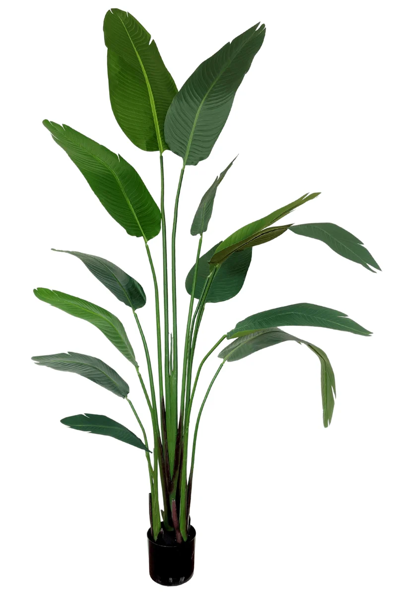 Strelitzie Kunstpflanze 210cm