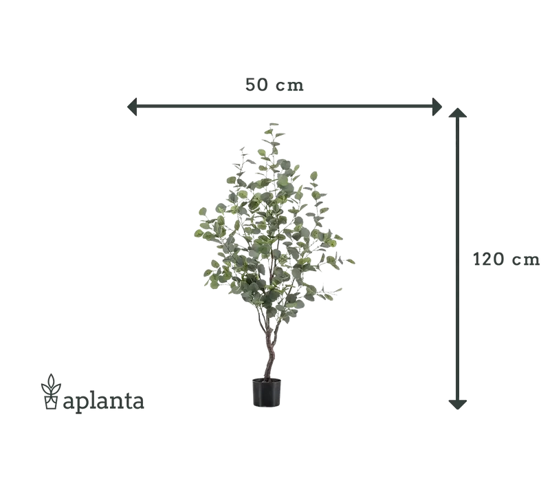 Künstlicher Eucalyptus Baum - Christopher | 120 cm