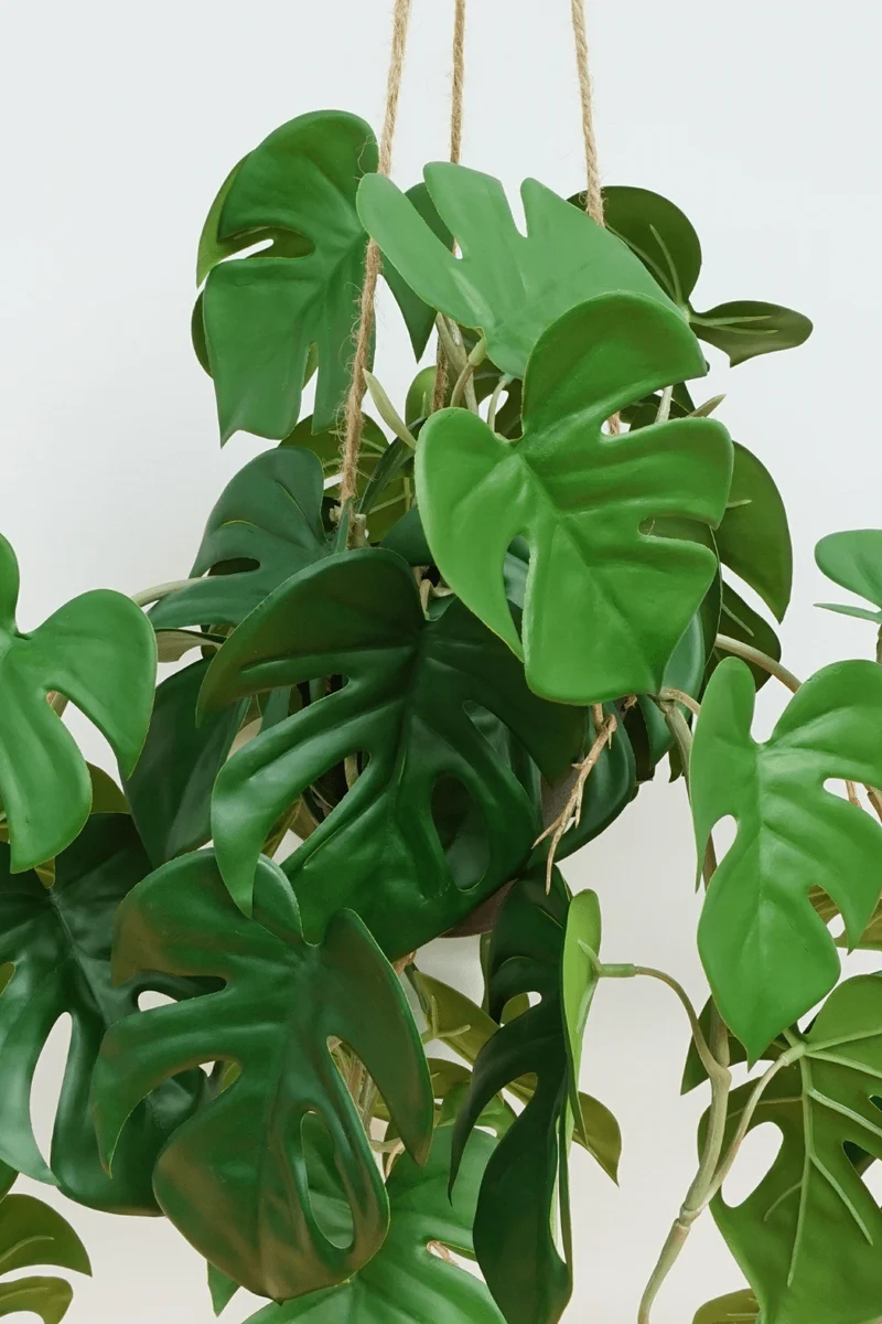 Monstera künstliche Hängepflanze 95cm