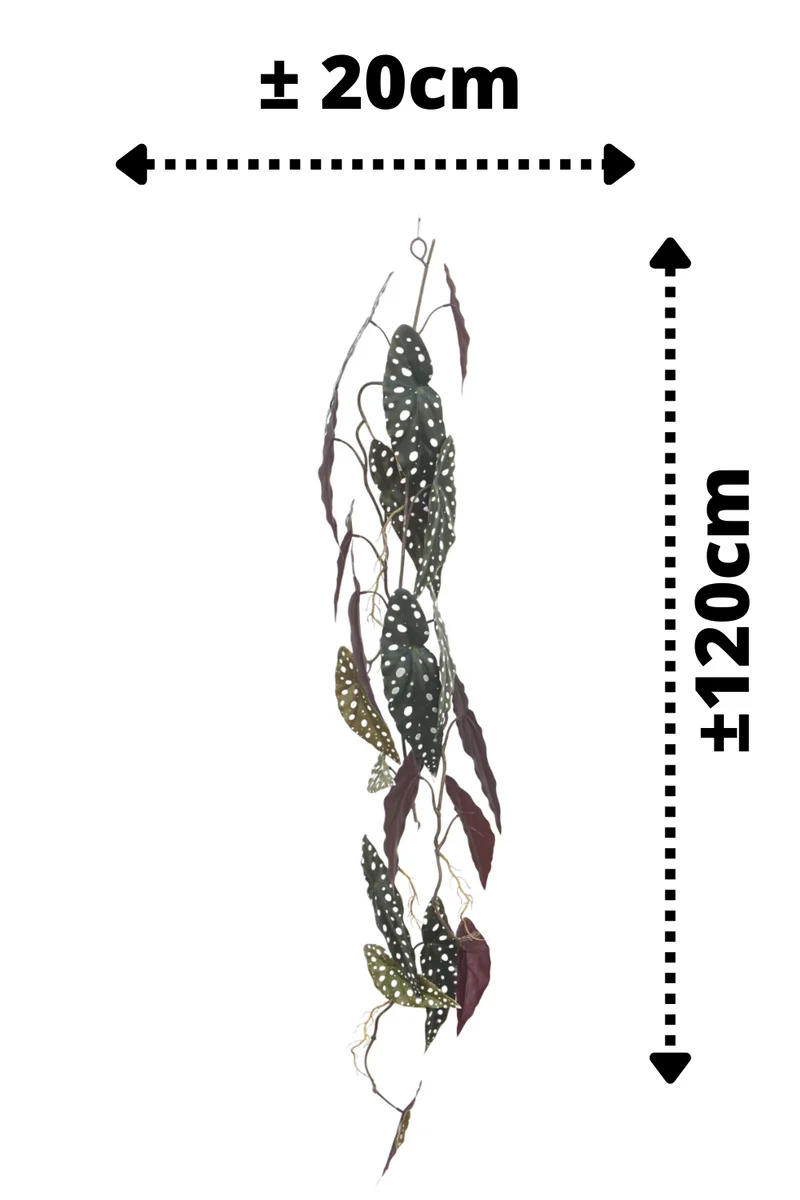 Begonia Maculata künstliche Girlande 120cm