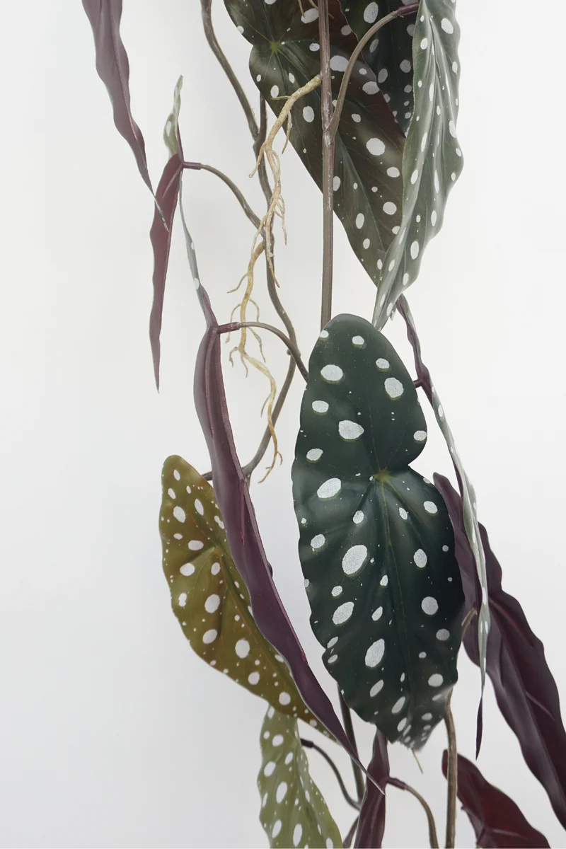 Begonia Maculata künstliche Girlande 120cm