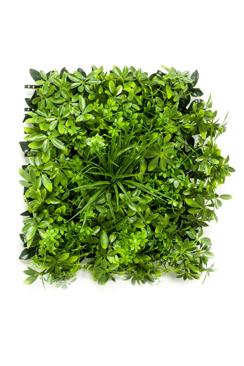 Schefflera-Mix Kunsthecke Wandpanel 50x50cm UV