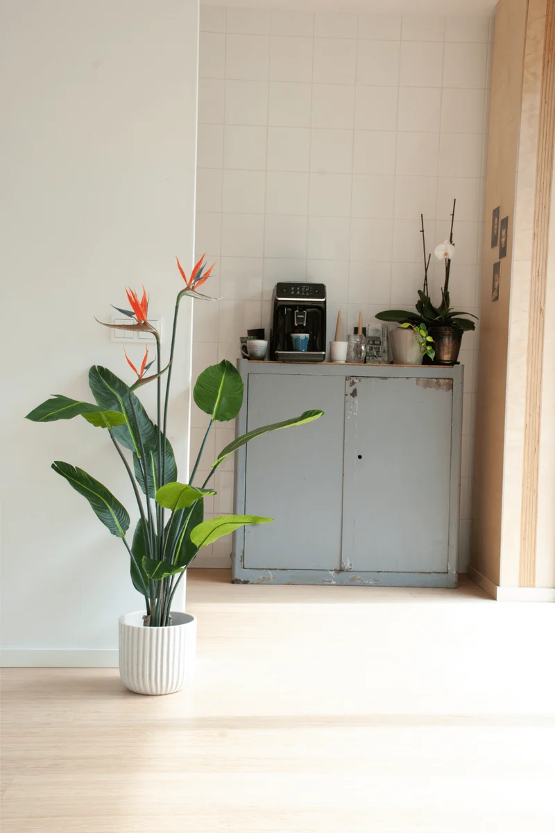 Strelitzie Kunstpflanze mit Blume 120cm