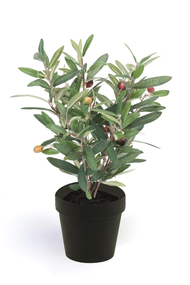 Olive Kunstpflanze 35cm
