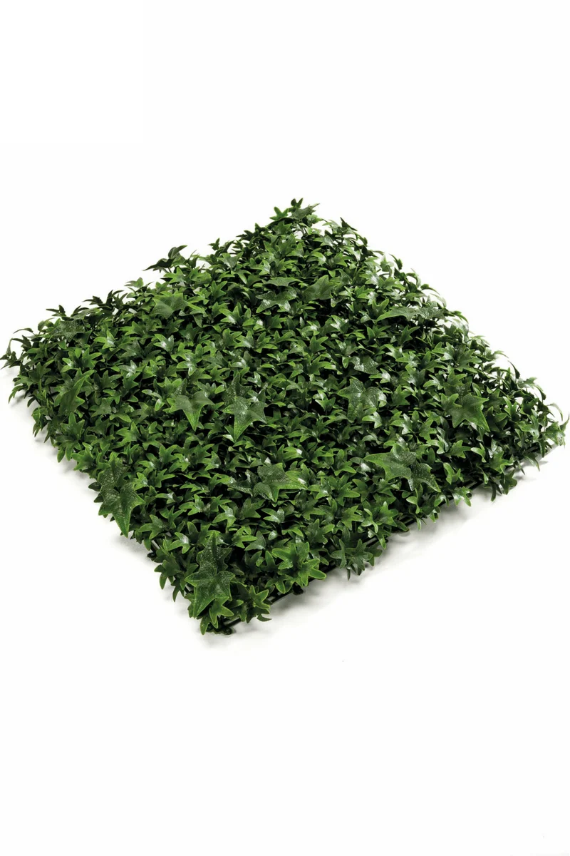 Hedera Kunsthecke Wandpanel 50x50cm UV