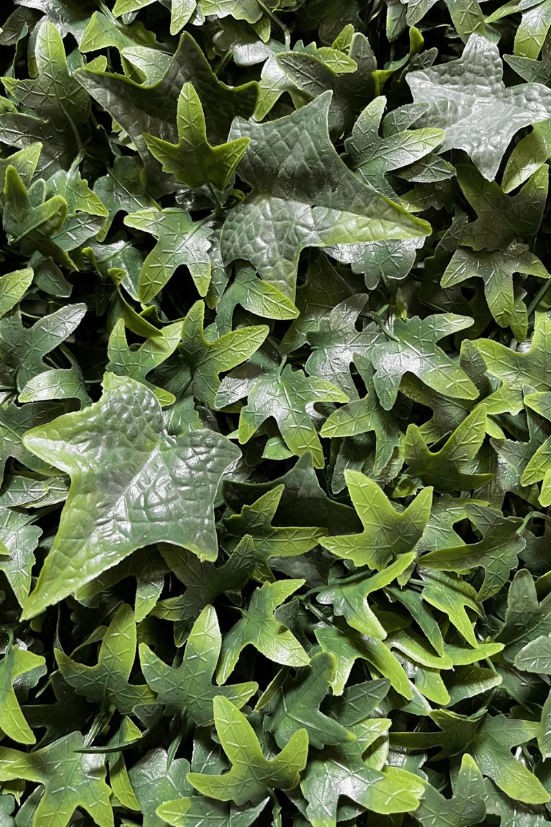 Hedera Kunsthecke Wandpanel 50x50cm UV
