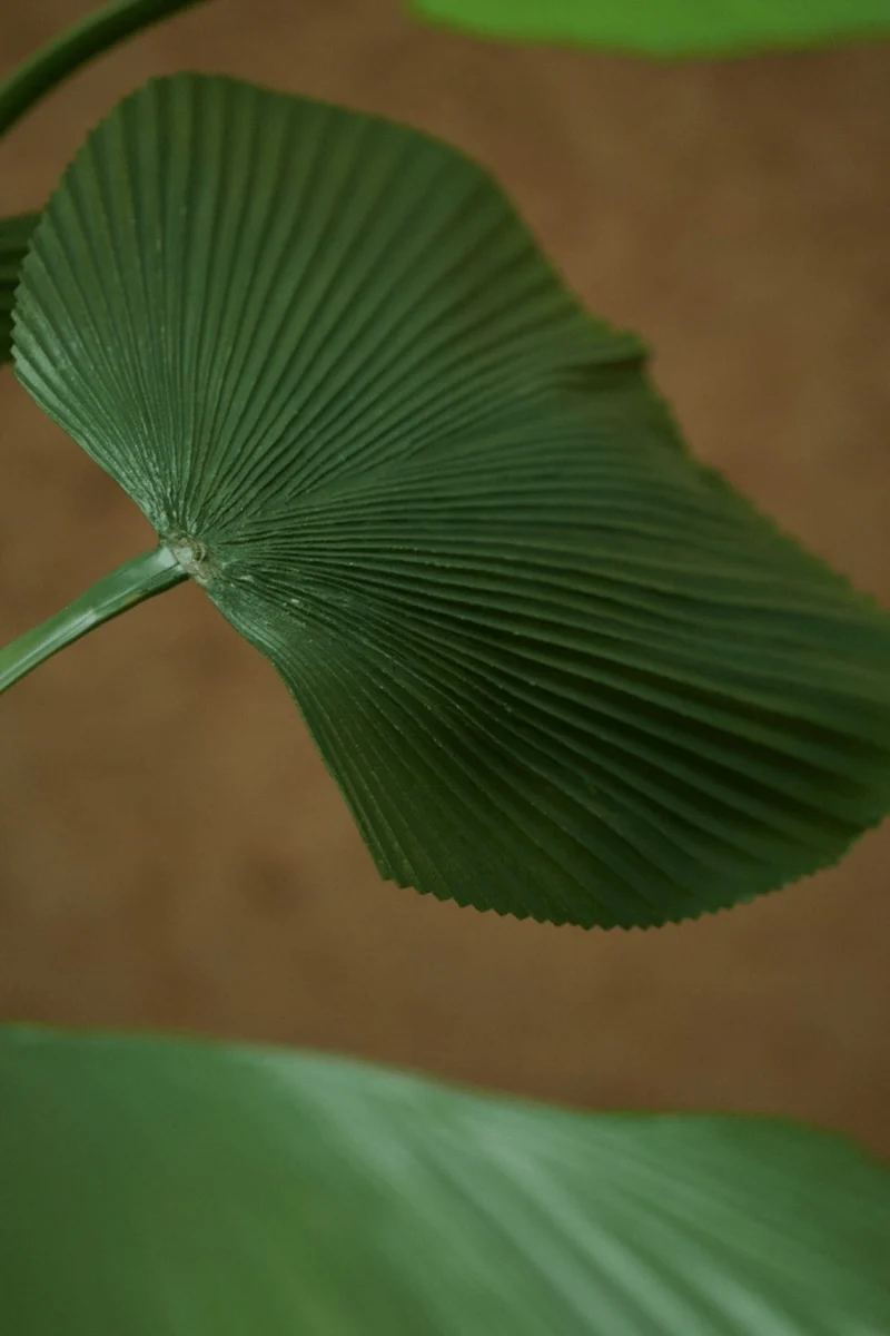 Palme Licuala Kunstpflanze 130cm