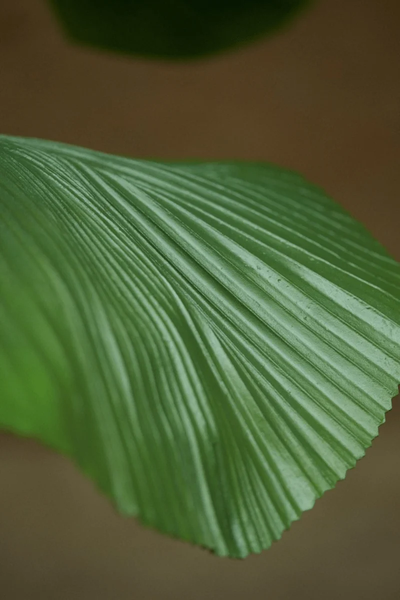 Palme Licuala Kunstpflanze 130cm