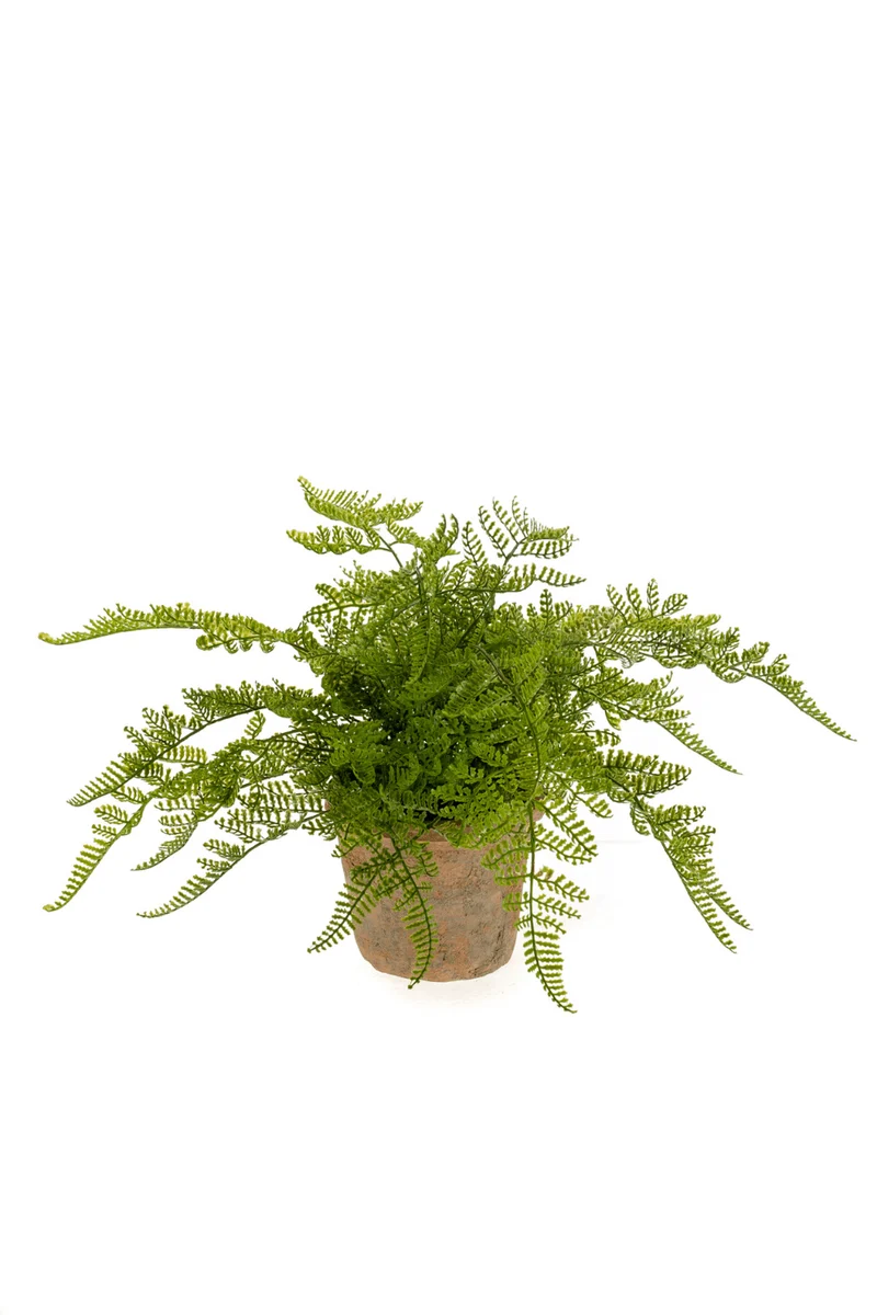 Farn Kunstpflanze 30cm