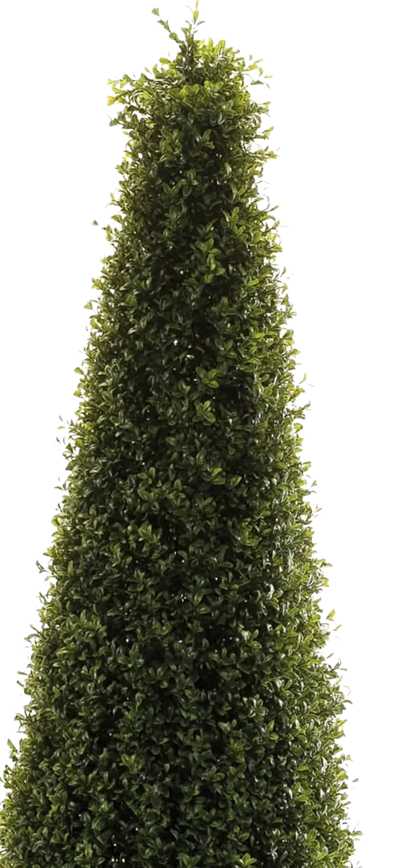 Künstliche Buchsbaumpyramide - Lucy | 135 cm