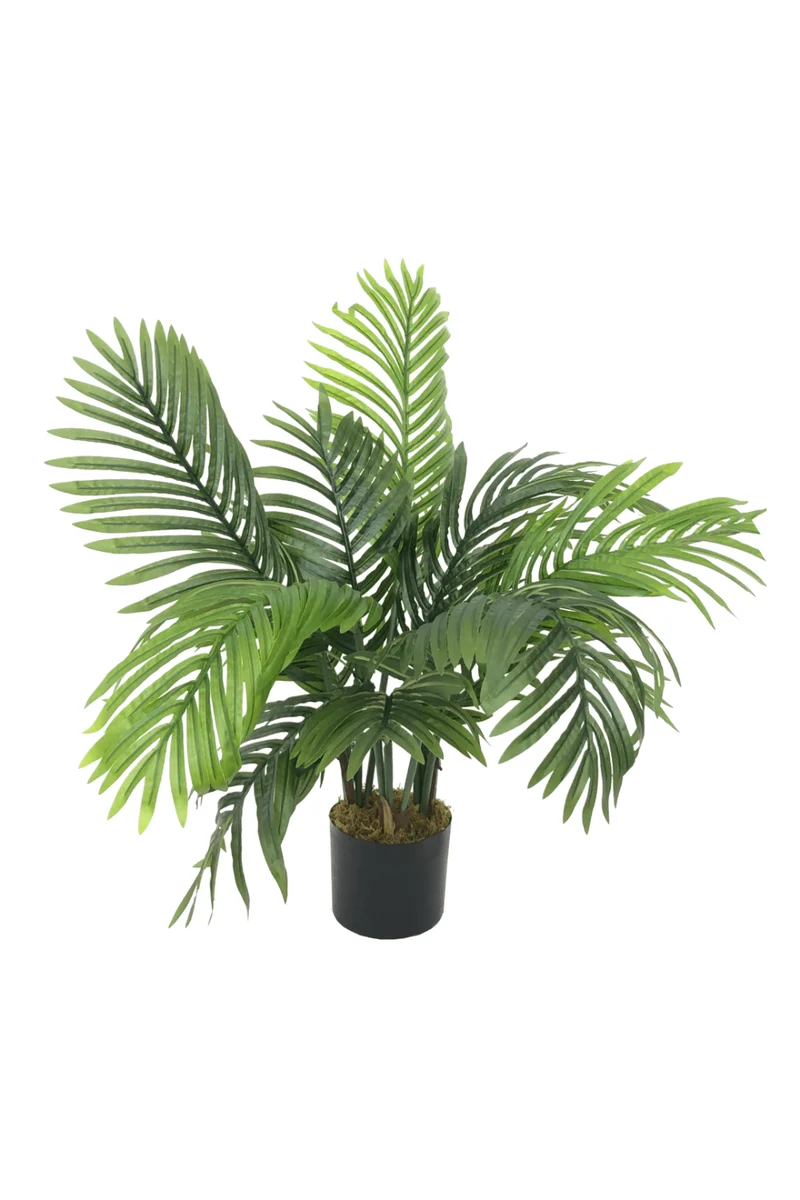 Palme Kunstpflanze 80cm