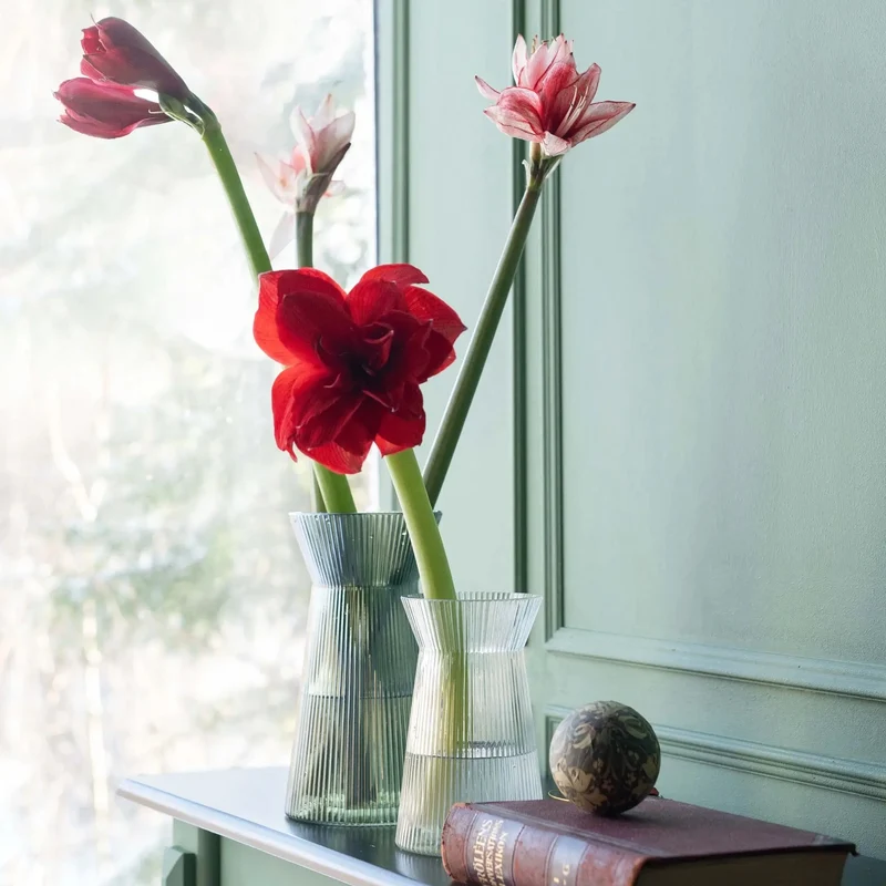 Wikholmform Noomi Vase – Geriffelte Glasvase Klar, 25 cm