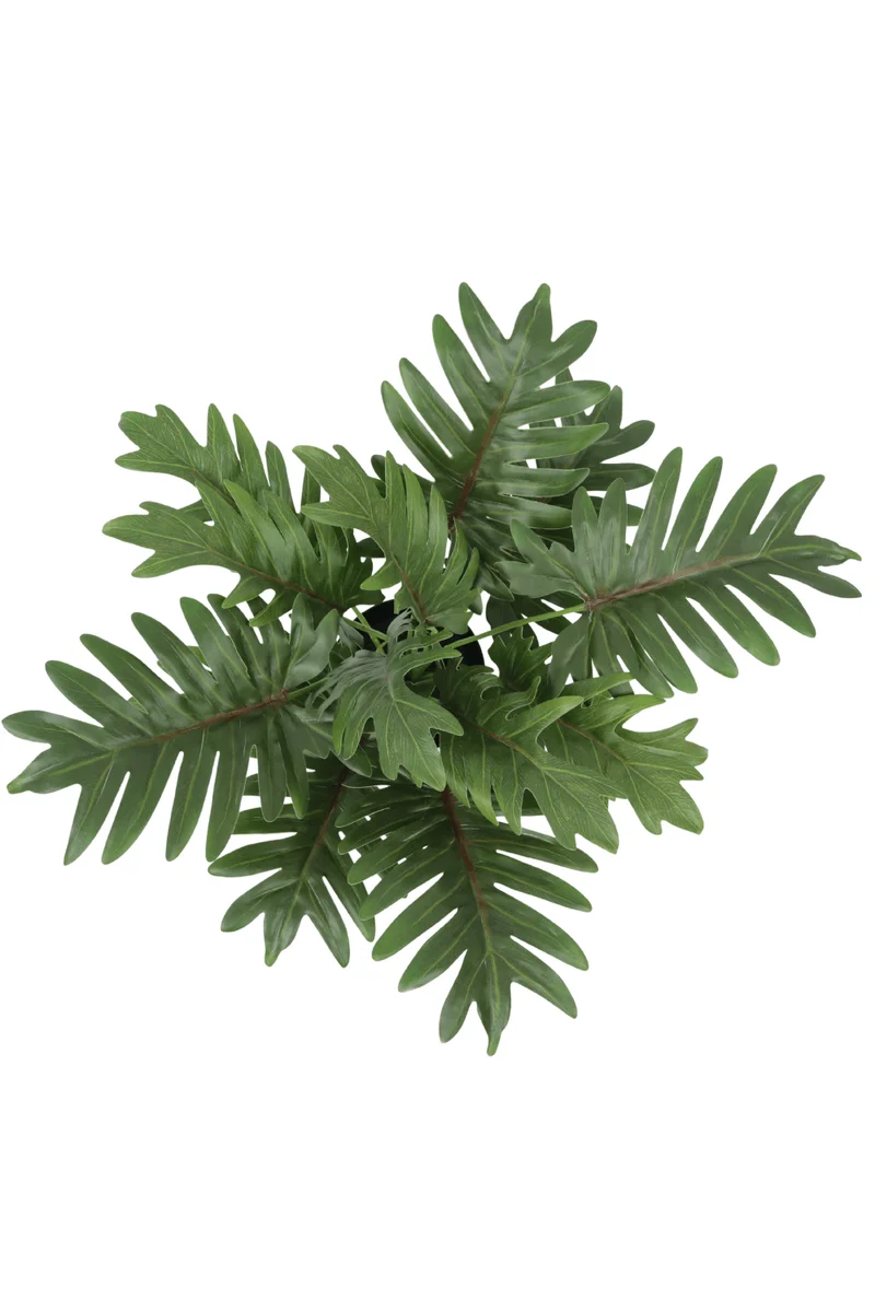 Philodendron Kunstpflanze 40cm